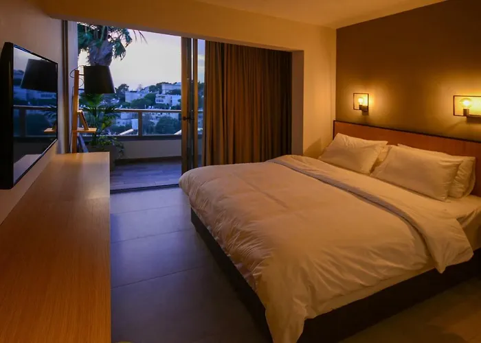 Luxury Suites By Notaly Ariel